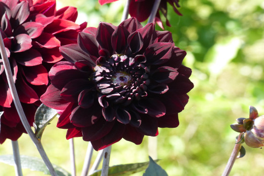 1755834 (a): :2560x1707